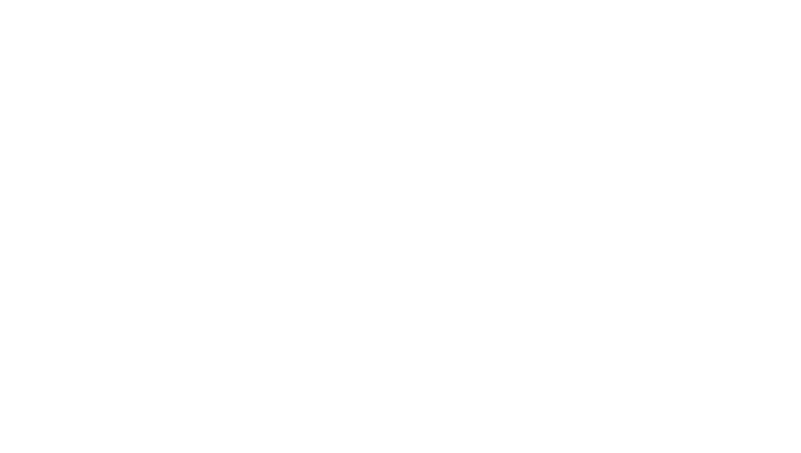 Logo Macco Caribe white